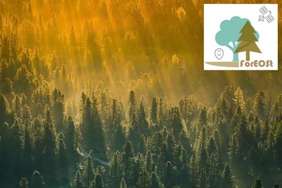 new illustration ForEOSt – An Innovative SPACEBEL Solution to Improve Forest Management