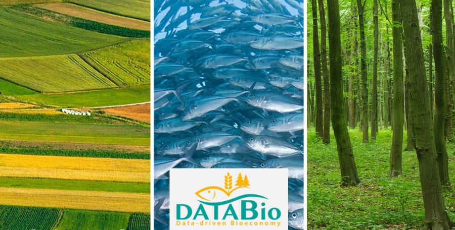 new illustration Positive Outcome for the EC DataBio Project – with Significant SPACEBEL Participation