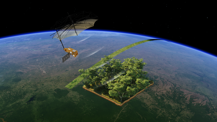new illustration A New Era in Forest Monitoring: ESA’s Biomass Satellite Data Now Available Worldwide