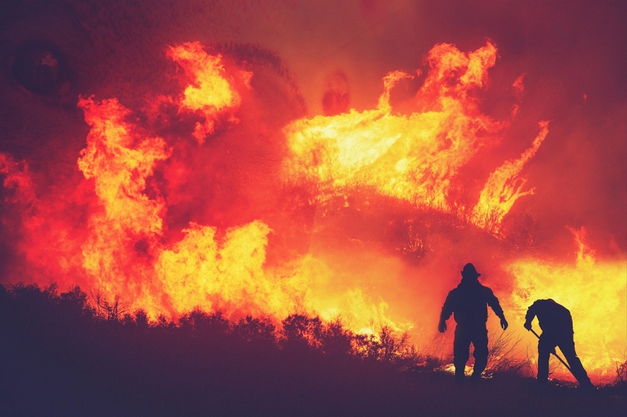 new illustration SENWISE: a Space-based Solution to Wildfires in Full Development